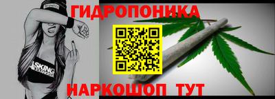 дурь Можга
