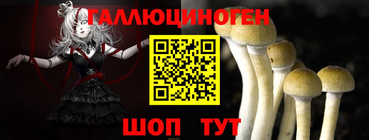 Галлюциногенные грибы мицелий Тара